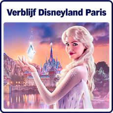 Disney hoofdprijs